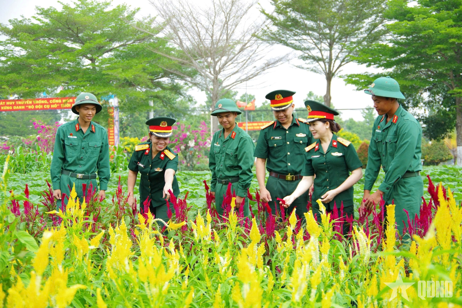 Sư đoàn 5 (Quân khu 7): Xây dựng chính quy từ mô hình “5S”